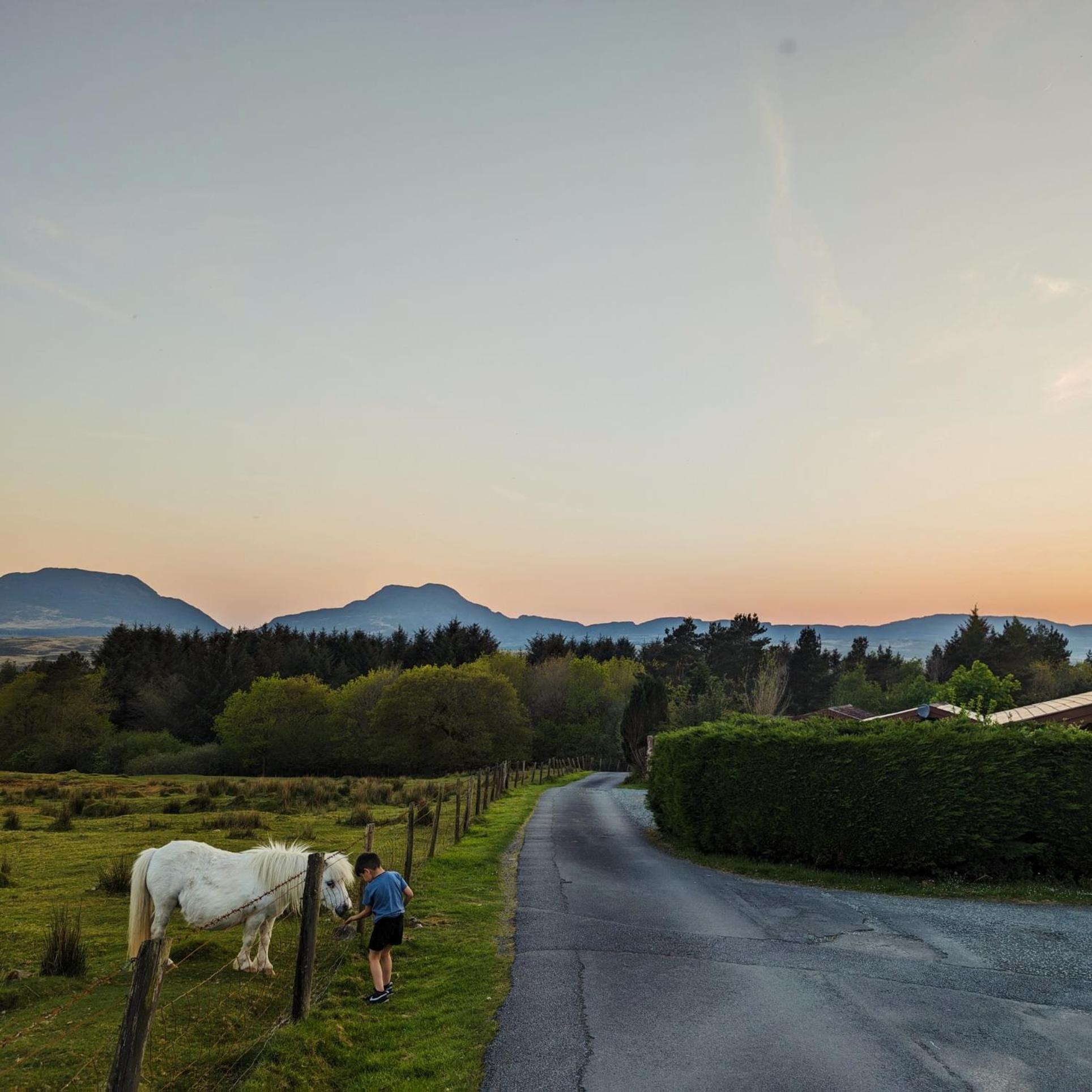Thistledonia Trawsfynydd Exterior foto